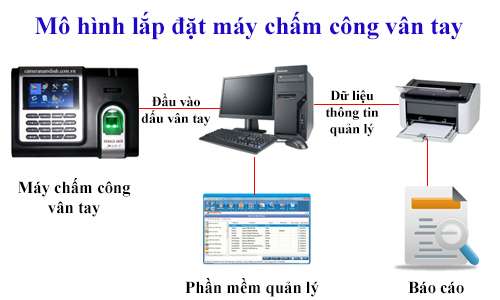 Những hiệu quả mà một máy chấm công đem lại cho doanh nghiệp hiện nay