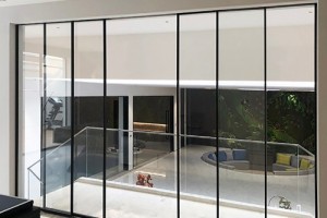 Cửa trượt tự động WOOSUNG Hàn Quốc (Korea)